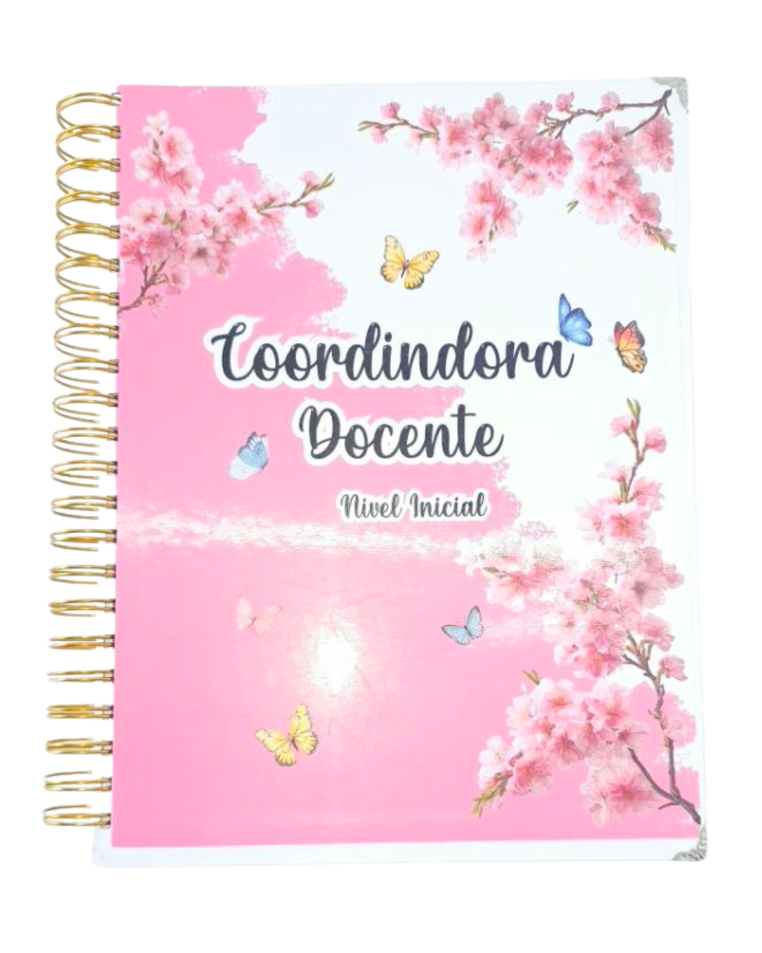 Cuaderno Coordinador Docente Inicial Plus, 510 Páginas