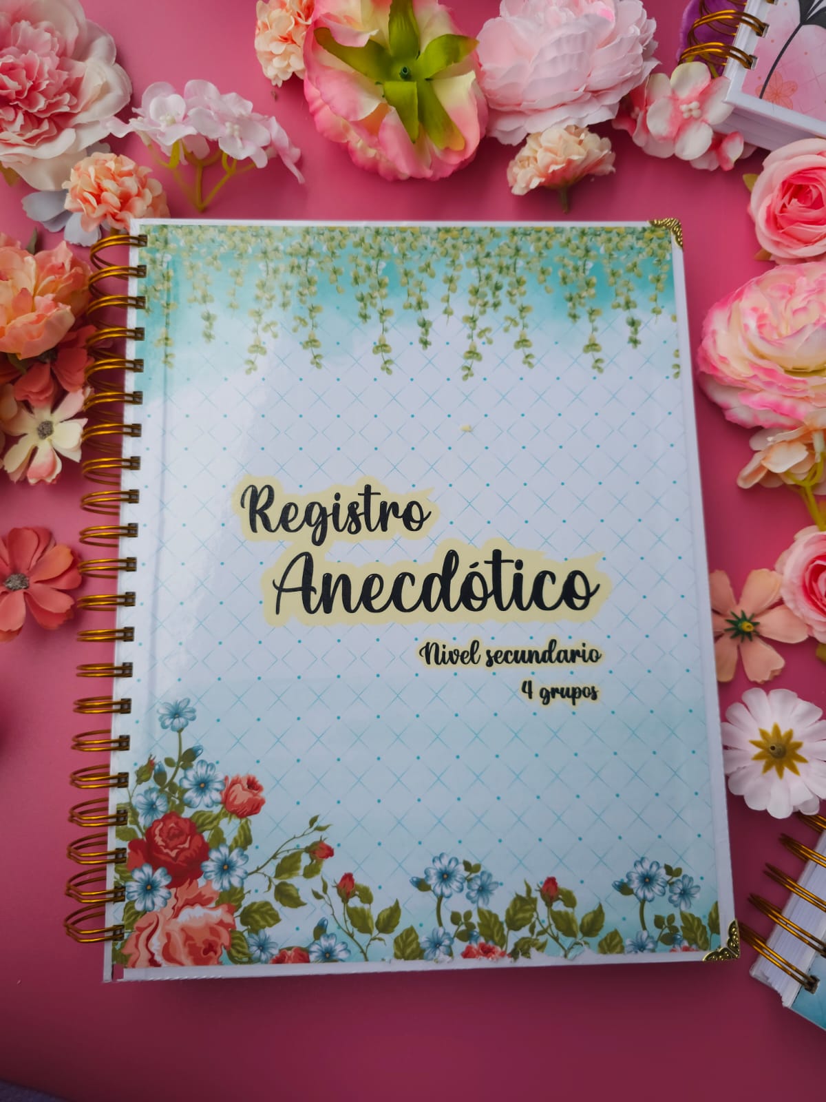 Registro Anecdótico – Nivel Secundaria (4 GRUPOS)
