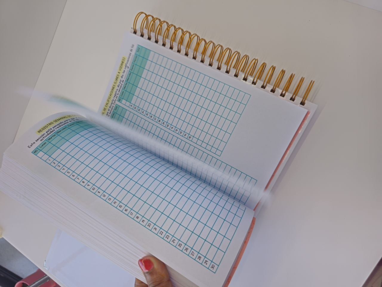 Doble Agenda de Evaluación de Primaria