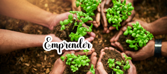 “¿Por dónde empiezo si quiero emprender?”
