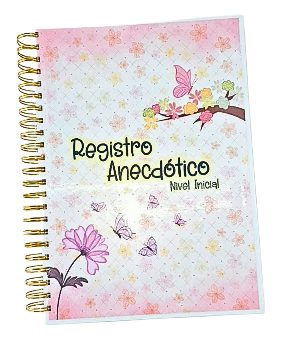 Registro Anecdótico 2026 – Nivel Inicial