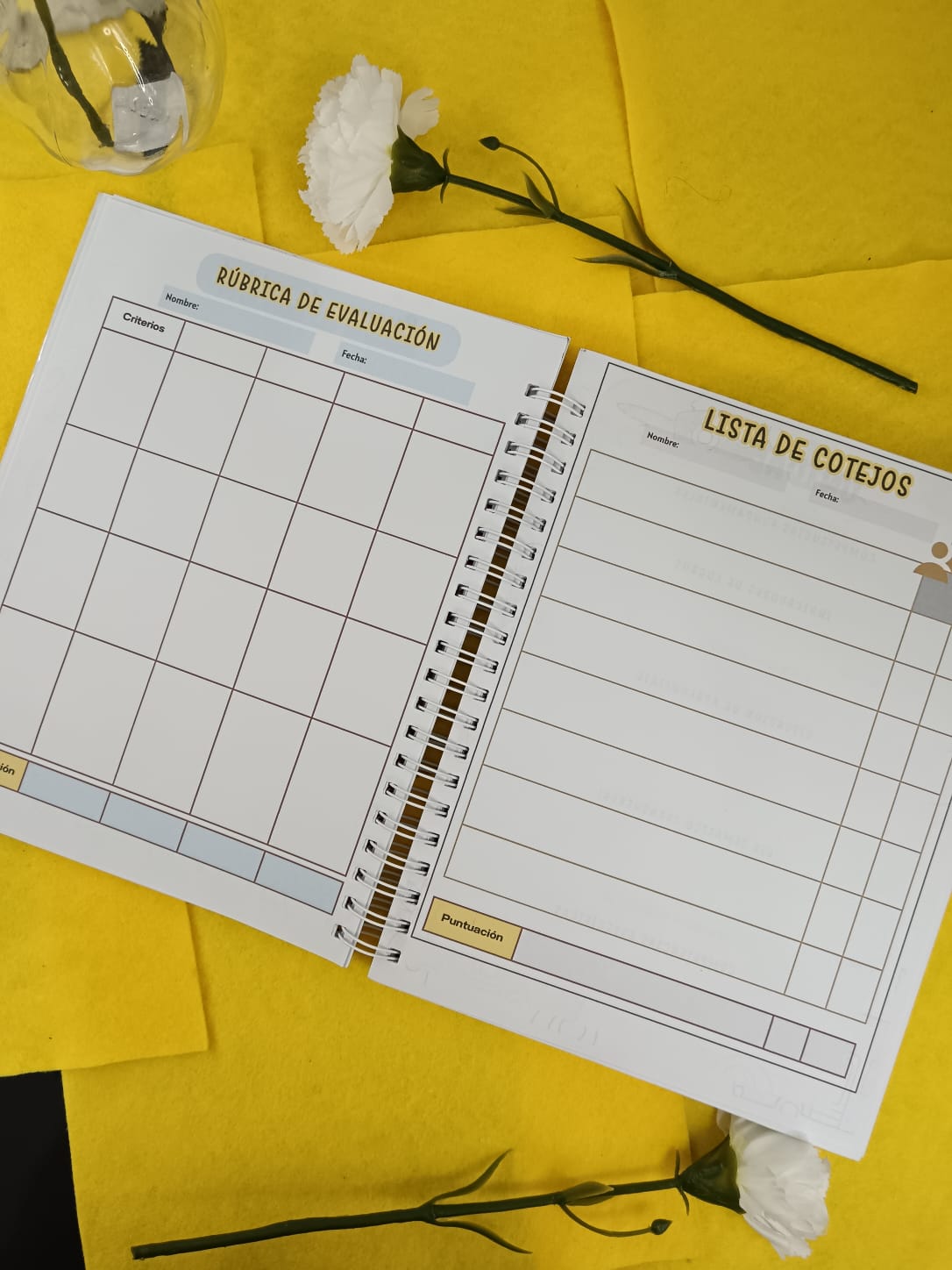 Cuaderno de planificación (PRIMARIA)