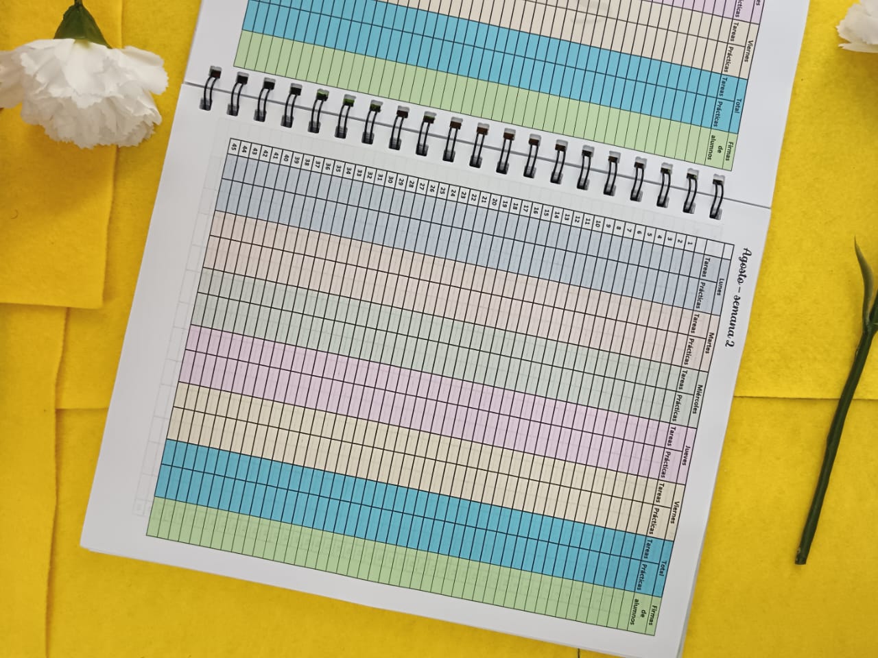 Cuaderno de Evaluación