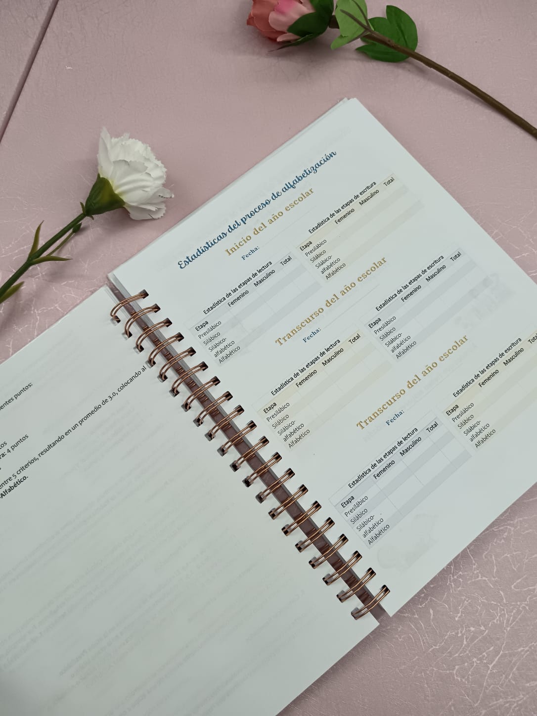 Registro anecdótico 1er ciclo